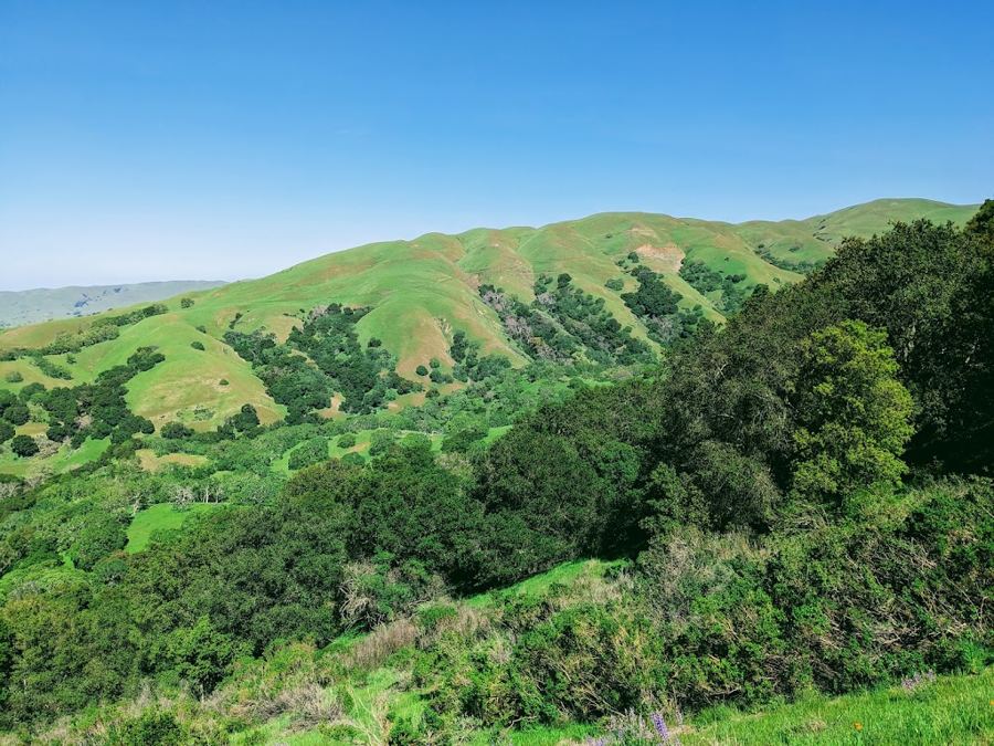 Sunol Regional Wilderness in Pleasanton