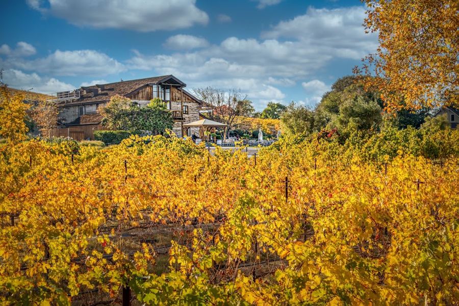 Winery or tasting-room private table (Livermore area) in Livermore