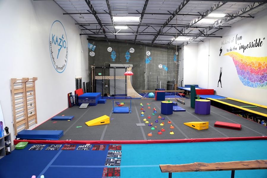Gymnastics & tumbling gym party (Pleasanton) in Pleasanton
