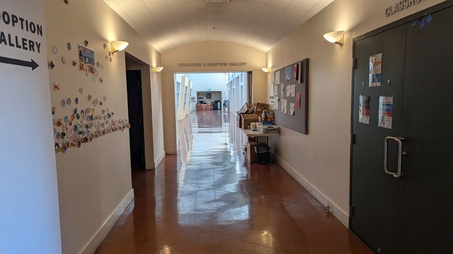 East Bay SPCA Dublin education room in Dublin