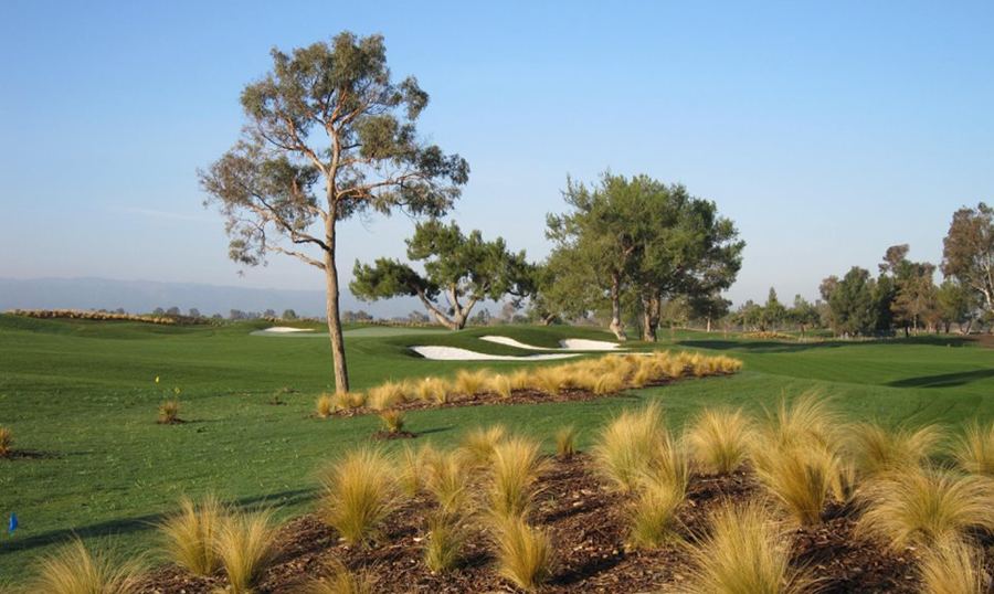 Las Positas Golf Course junior party in Livermore