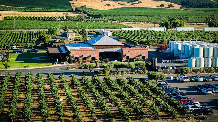 Concannon Vineyard in Livermore