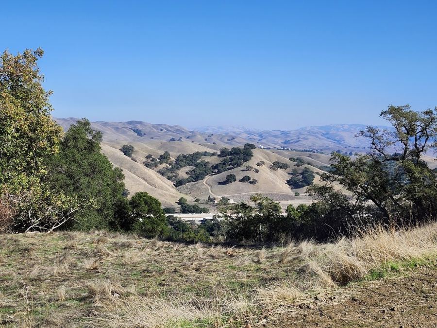 Pleasanton Ridge guided nature party in Pleasanton