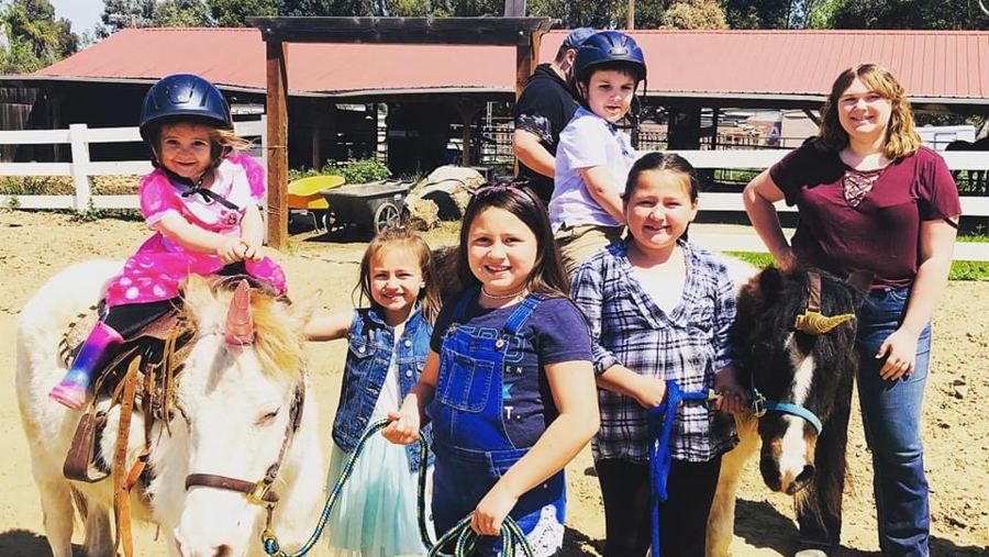 Pony rides & petting zoo at a private grove (Dublin) in Dublin