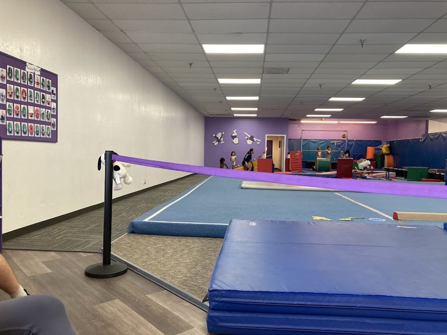 Gymnastics & tumbling gym party (Livermore) in Livermore