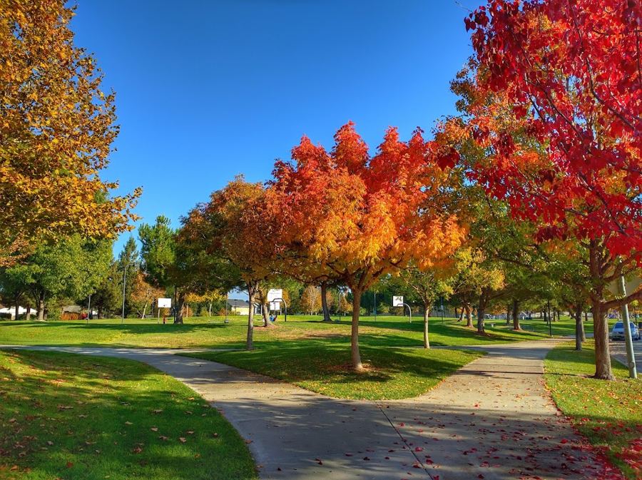 Pleasanton Tennis & Community Park in Pleasanton