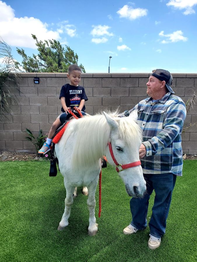 Barnyard Buddies Mobile Petting Zoo — Entertainment in Danville
