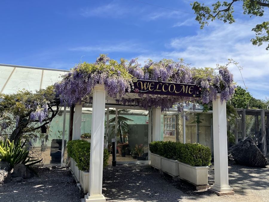 Alden Lane Nursery garden party in Livermore